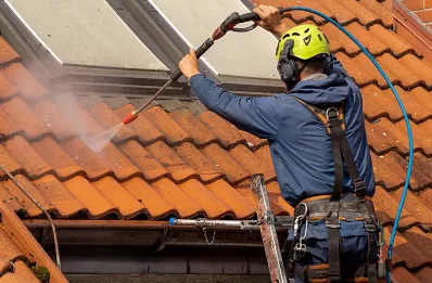 Démoussage et hydrofuge de toiture à Montseveroux